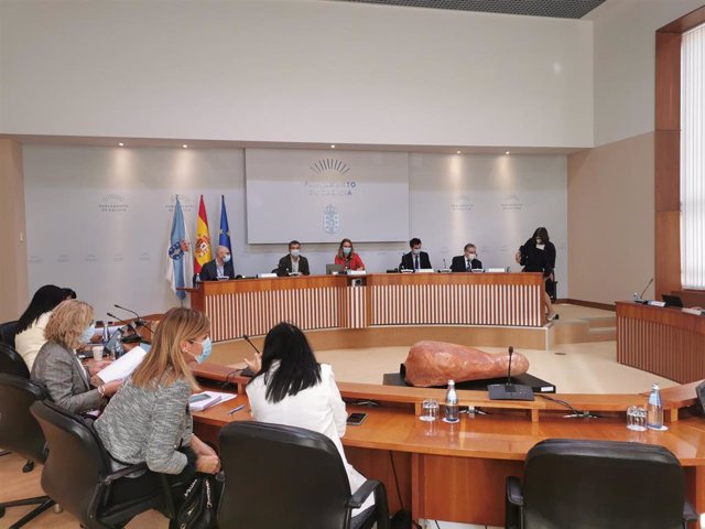 Comisión de Relacións co Consello de Contas del Parlamento de Galicia, a 29 de septiembre de 2020.