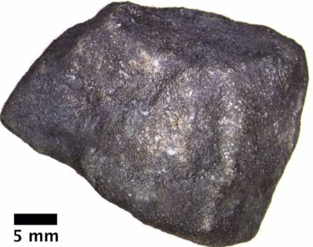 El fragmento de meteorito que cayó en Strawberry Lake, que contiene compuestos orgánicos extraterrestres prístinos.