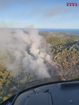 Imatge aria d'un incendi de vegetació a Tortosa el 27 d'octubre del 2020. Pla general. (Vertical)