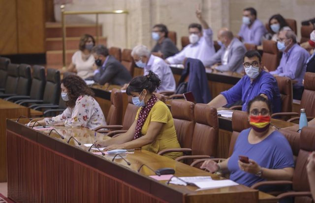 La líder del grupo parlamentario Adelante Andalucía, Teresa Rodríguez (c), bancada del grupo parlamentario Adelante durante primera jornada del Pleno del Parlamento andaluz con debate de un decreto ley relacionado con medidas ante el Covid-19