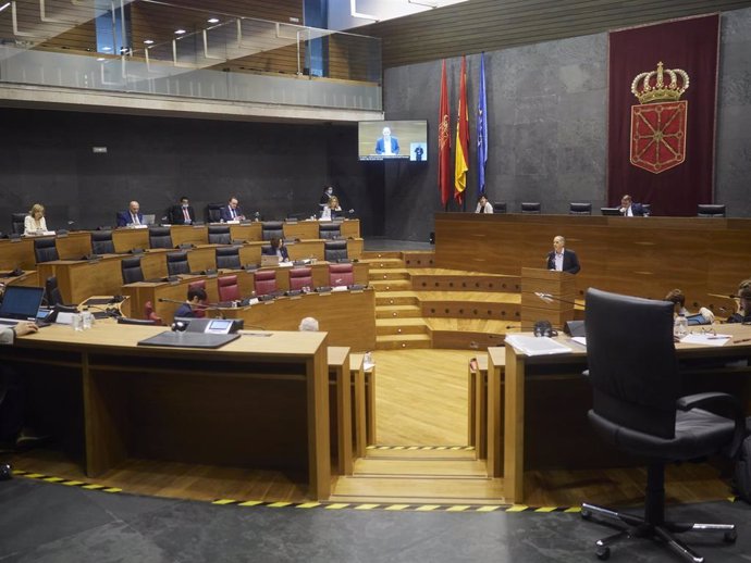 Vista general en el Parlamento de Navarra 