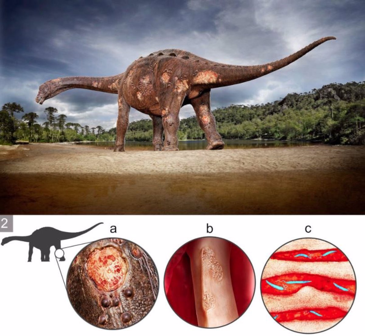 Primer hallazgo de parásitos fosilizados en un hueso de dinosaurio