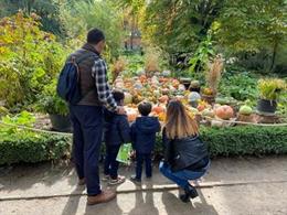El Real Jardín Botánico expone 30 cultivares de calabaza para dar la bienvenida al otoño