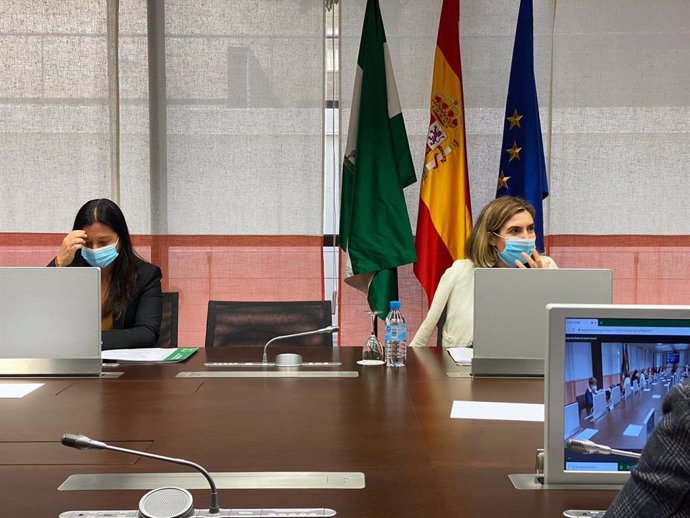 La consejera de Empleo, Formación y Trabajo Autónomo, Rocío Blanco, asiste a la apertura del pleno del Consejo Andaluz de Economía Social como presidenta de este órgano