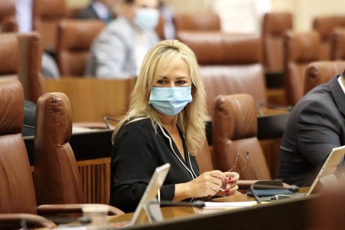 Ana Llopis, en el Parlamento, en una imagen de archivo