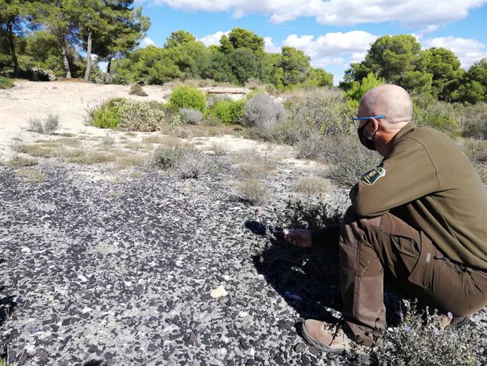 Residuos sobre antiguas dunas fósiles en el Cap de Cala Figuera.