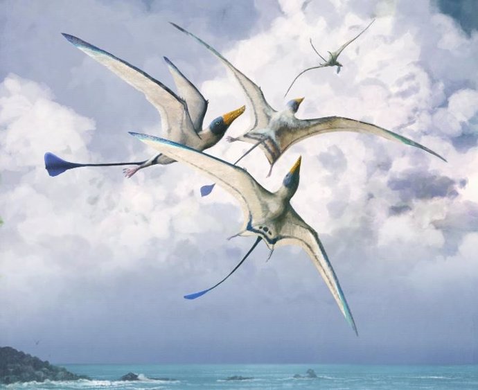 Rhamphohynchus: una de las 75 especies de pterosaurios estudiadas por los invest