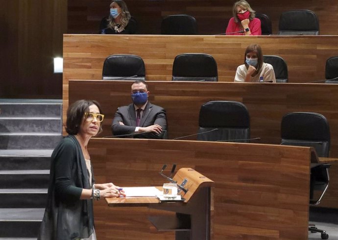 La portavoz del PSOE, Dolores Carcedo, interviene en el pleno de la Junta General