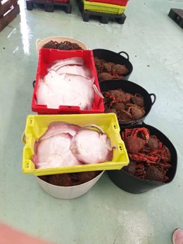 Intervenidas por la Guardia Civil 174 centollas, dos bueyes de mar y 15 kilo de raya mosaico en Ribeira (A Coruña).