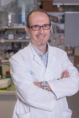 Pla mitj del cap del servei d'Endocrinologia i Nutrició de l'Hospital Universitari Arnau de Vilanova i professor de la UdL Albert Lecube, el 29 d'octubre del 2020. (Vertical)