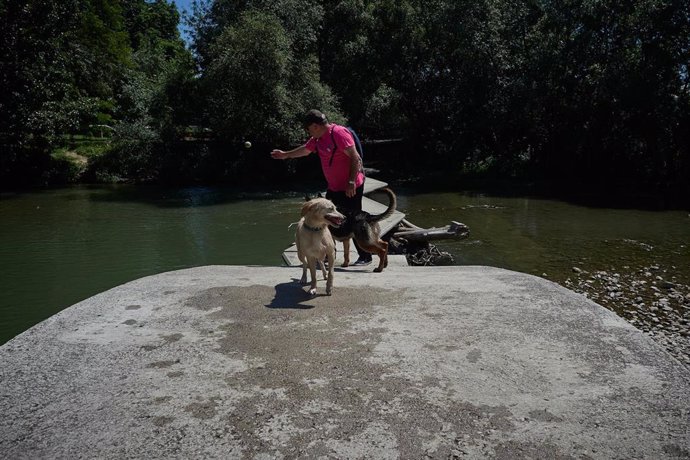 Un hombre pasea con su perro en las inmediaciones del río Arga 