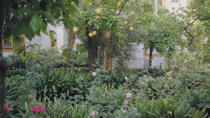 Fotograma de la película documental 'Antonio Machado. Los días azules'.
