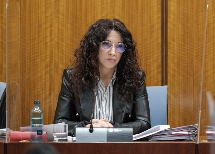 La consejera de Igualdad de la Junta de Andalucía, Rocío Ruiz