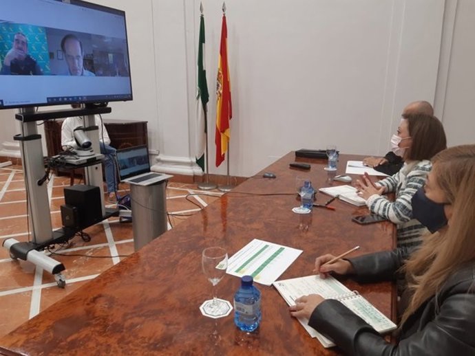Reunión telemática entre Junta y subdelegación del Gobierno en Málaga