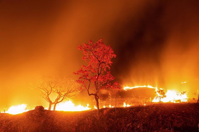 19 September 2020, Brazil, Sao Joao Da Aliana: Fire burns through the Chapada dos Veadeiros National Park. Other fires have been raging in the Pantanal, the world's largest inland wetlands. Photo: Myke Sena/dpa