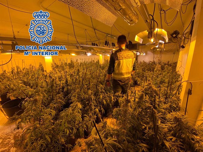 Nota De Prensa: "La Policía Nacional Desmantela Dos Plantaciones De Marihuana En La Nucia Y Altea La Vella Y Detiene A Sus Responsables"