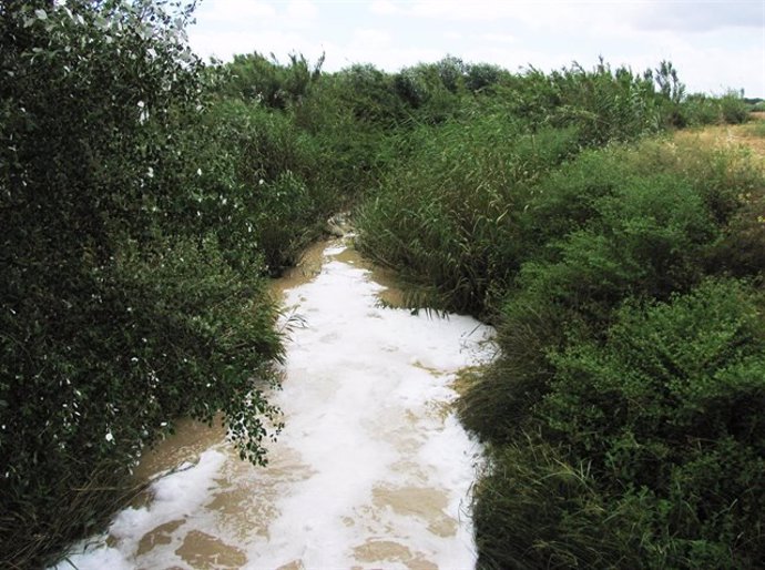 Imagen de archivo de un arroyo en la comarca del Aljarafe
