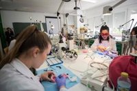 Andalucía flexibiliza las prácticas a alumnos de FP por el Covid y prevé exención total o parcial y reducción de horas