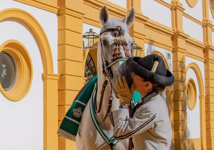 Jinete y caballo de la Real Escuela de Arte Ecuestre en Jerez