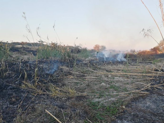 Medios antiincendios actuando en el fuego declarado en Lloret de Vistalegre.