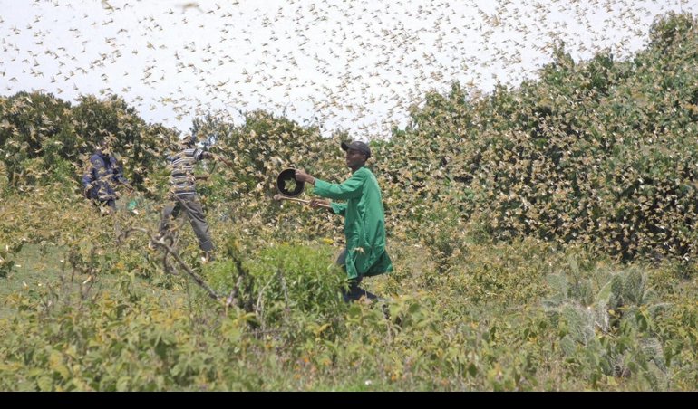 Cooperación y Desarrollo