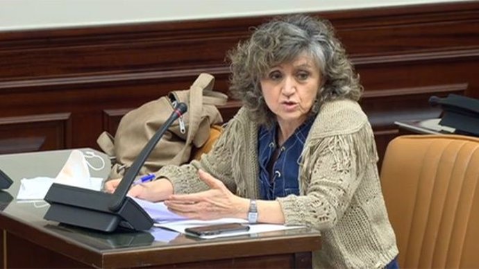 La diputada socialista en el Congreso por Asturias, María Luisa Carcedo