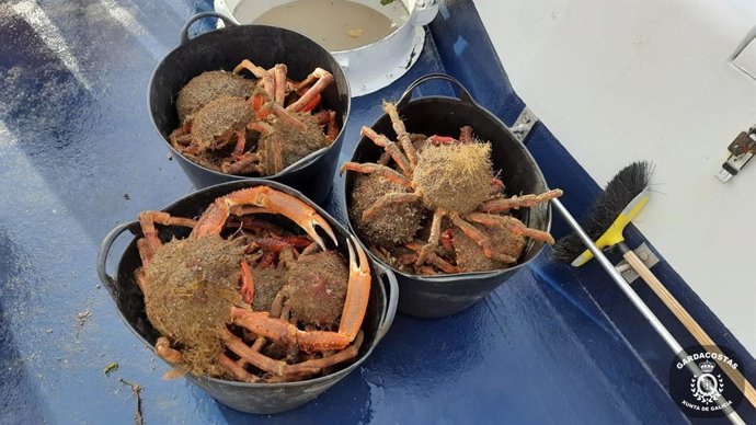 Gardacostas Requisa Máis De 750 Útiles De Pesca, Un Vehículo E Arredor De 570 Quilos De Distintas Especies De Peixe E Marisco