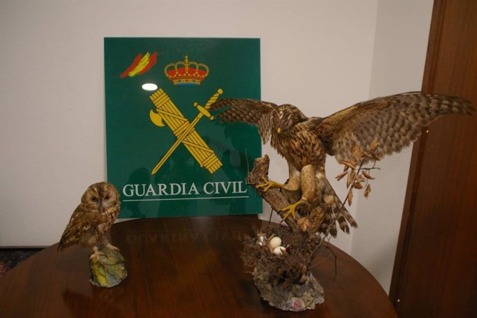 Aves naturales incautadas en A Coruña.
