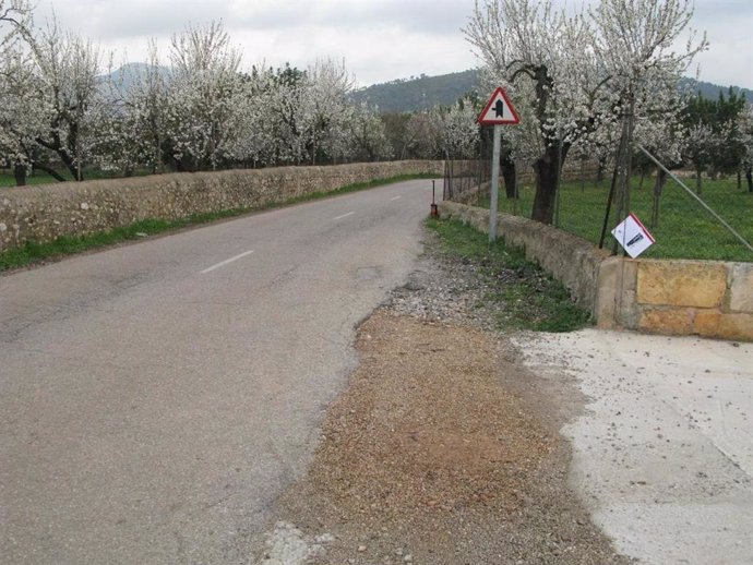 Camino de la estación de Lloseta.