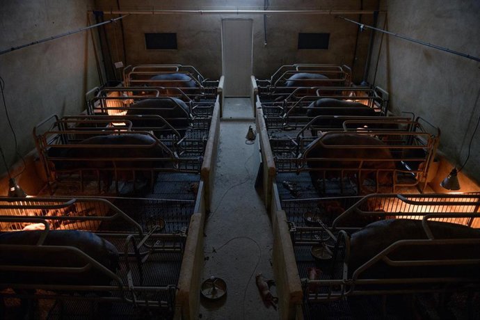 Imágenes de la investigación 'Factoría'