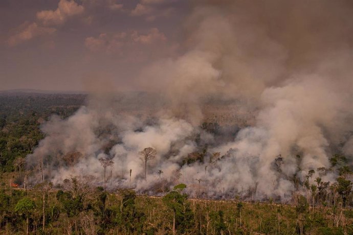 Vista aérea de un incendio en el Amazonas
