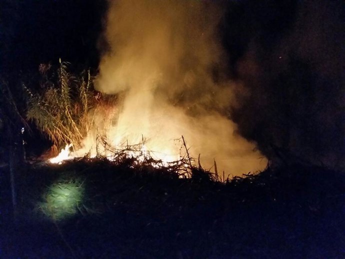 Extinguido el incendio declarado este domingo junto al Río Segura, en Cieza