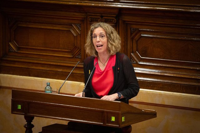 La consellera d'Empresa i Coneixement, Àngels Chacón, al Parlament. (Arxiu)