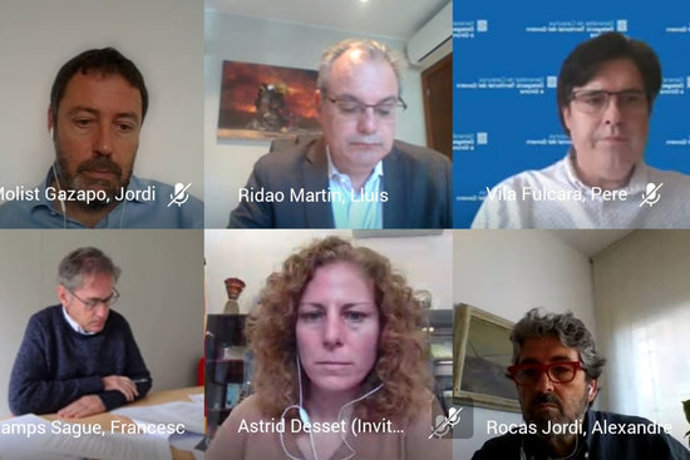 Captura de pantalla de la reunió de seguiment de la Taula del Ter el 2 de novembre de 2020 (Horitzontal)