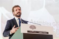 Casado condena el ataque de Viena y dice que el fanatismo y los enemigos de la libertad no tienen cabida en la sociedad