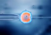 Foto: La edad paterna no se relaciona con la incidencia de anomalías cromosómicas en embriones