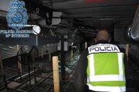 Desmantelada en Morón (Sevilla) una plantación con 200 kilos de marihuana oculta bajo pistas de tenis