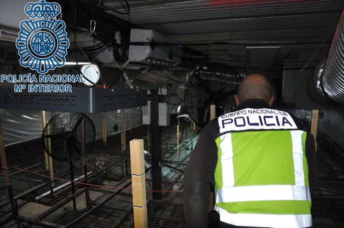 [Sevilla] Nota De Prensa "Desmantelada Una Plantación De Marihuana Subterránea Hallada Bajo Unas Pistas De Tenis En Morón De La Frontera"