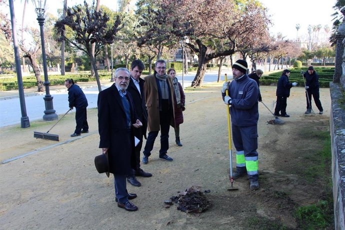 Sevilla.- El Ayuntamiento impulsa programa de empleo en el Parque de María Luisa con 123 contratos durante dos meses