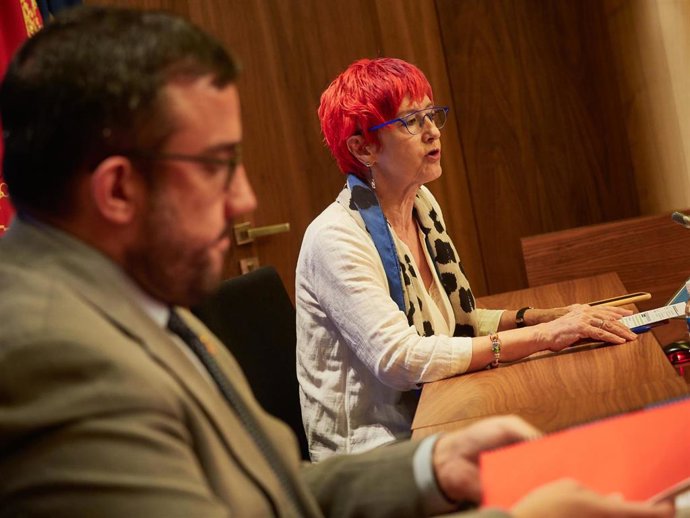 La consejera de Salud del Gobierno de Navarra, Santos Induráin, en rueda de prensa junto a Javier Remírez