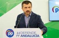 PP-A pide unidad para aprobar los Presupuestos de la Junta de 2021, "una apuesta por lo social"