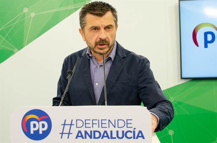 El vicesecretario general del PP-A, Toni Martín, en rueda de prensa.