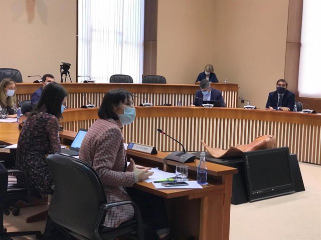 Ana Pontón en la comisión de reconstrucción