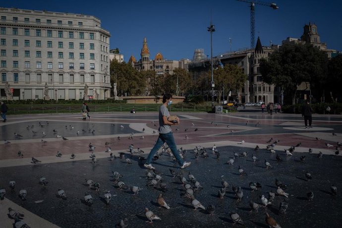 Vídeo de la noticia