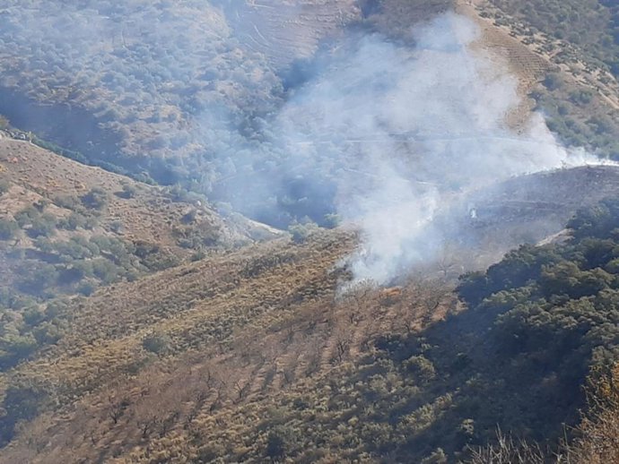El Infoca interviene en un incendio forestal en Salares (Málaga)