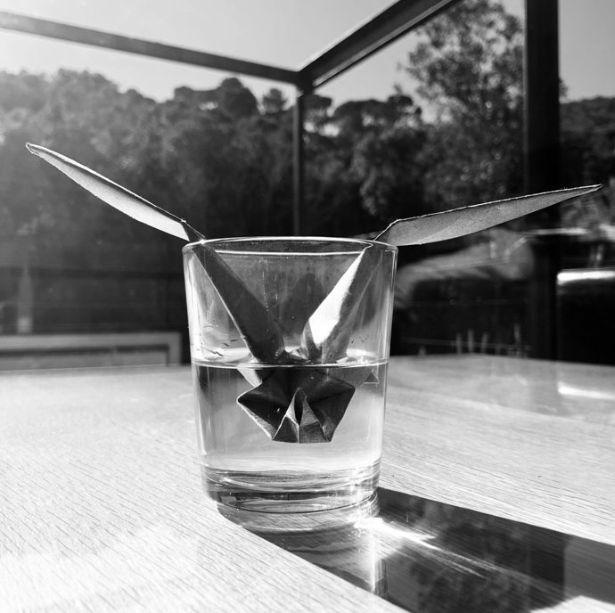 La Gaviota de Antón Chejov en una versión libre de lex Rigola que llega al Teatro del Soho CaixaBank