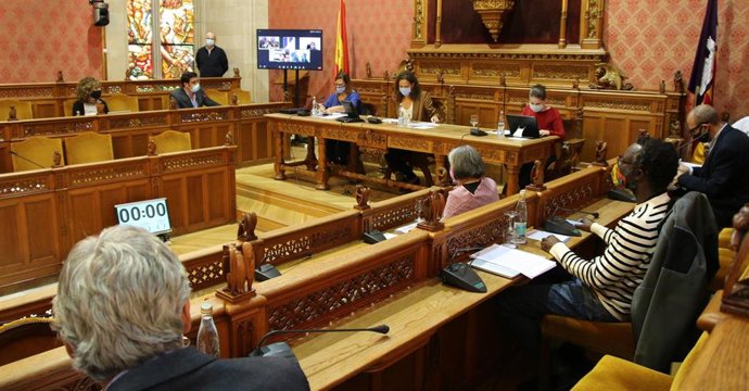 Pleno del Consell de Mallorca.