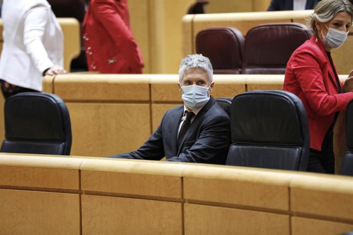 El ministro del Interior, Fernando Grande-Marlaska, en una de las sesiones de control al Gobierno en el Senado