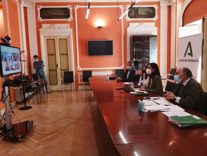 Sesión telemática de la Comisión de Tráfico