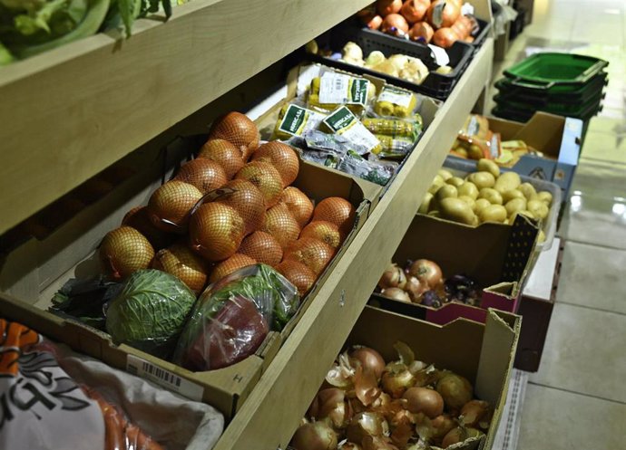 Verduras variadas: repollo, cebollas, maíz y patatas en un mercado de Madrid.